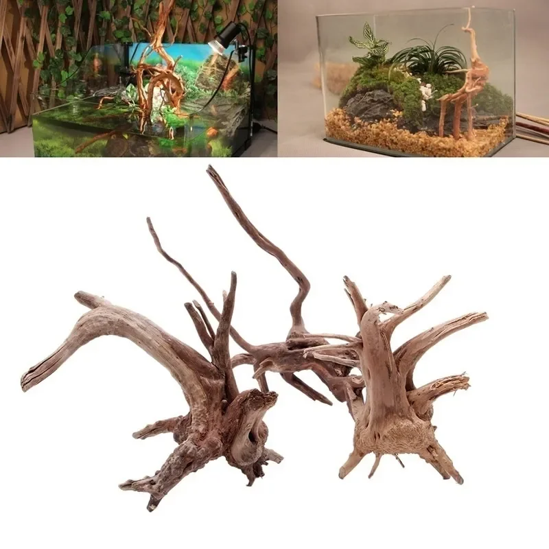 Aquarium Plant Substrate - ต้นไม้ธรรมชาติลำต้นไม้ดริฟท์วู้ดตู้ปลาตู้ปลาตู้ปลาตู้ปลาตู้ปลาที่รากกระบอกพืชไม้เครื่องประดับตกแต่งสำหรับพืชในตู้ปลา