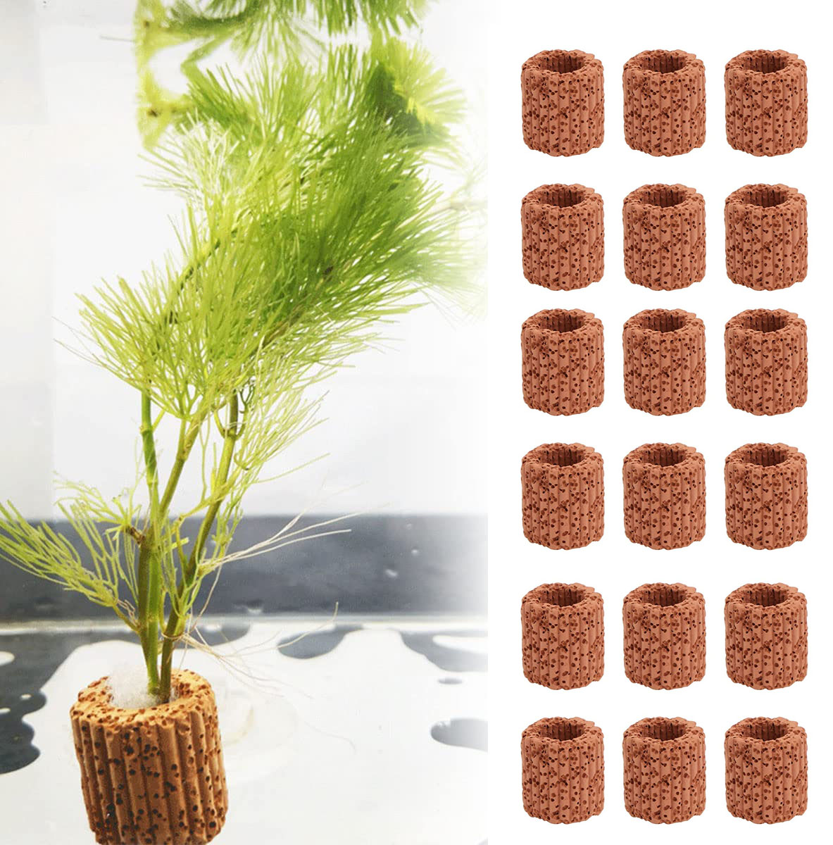 Aquarium Plants Live - ของตกแต่งตู้ปลาแหวนกระถางต้นไม้เซรามิกสำหรับตกแต่งภูมิทัศน์ตู้ปลา10/20ชิ้น