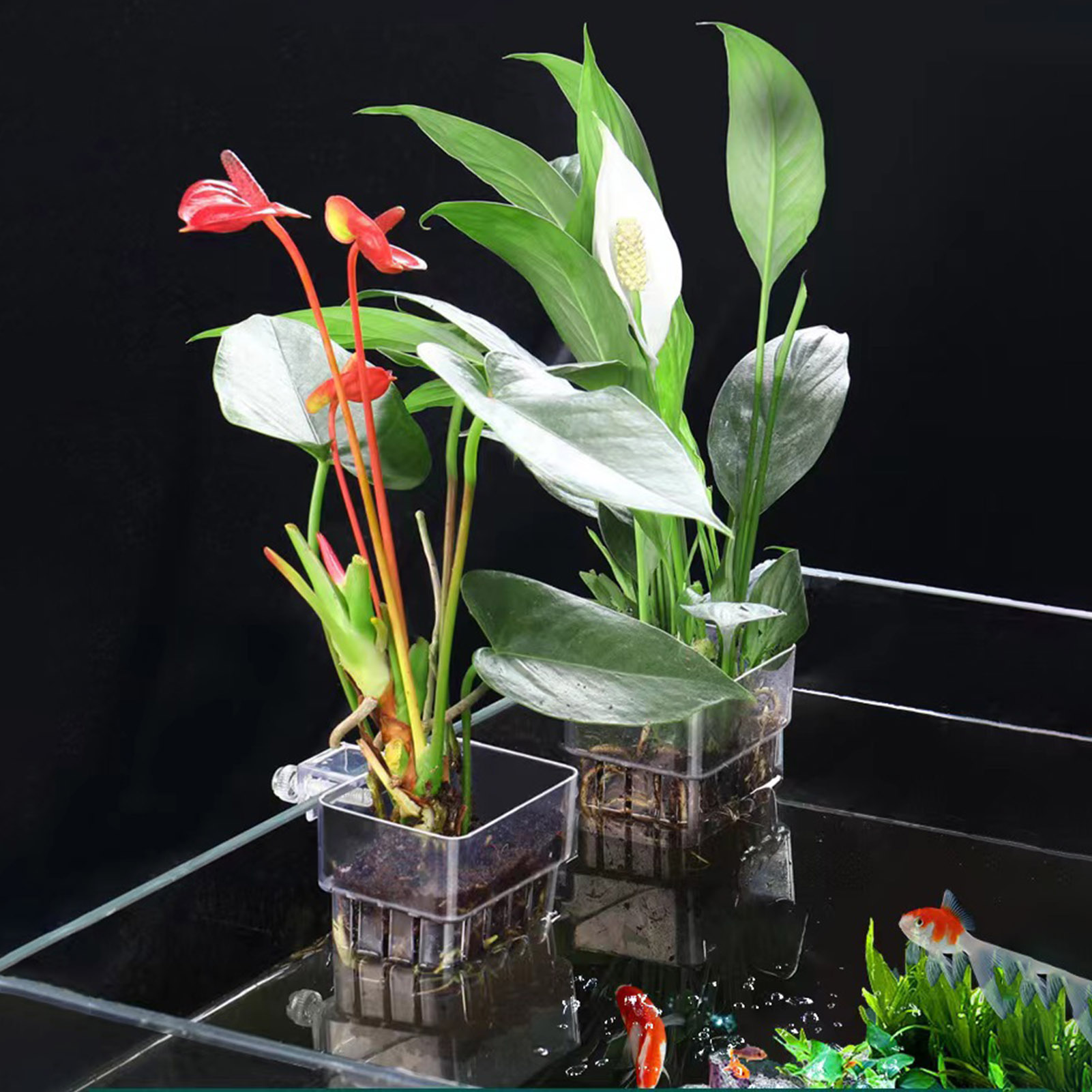 Aquarium Plant Holder - ที่วางต้นไม้อะคริลิกใส ตะกร้าปลูกไฮโดรโปนิกส์ สำหรับตู้ปลา ตู้เลี้ยงปลาสวยงาม ถ้วยปลูกหญ้าใต้น้ำ จัดสวนต้นไม้หลายชนิด