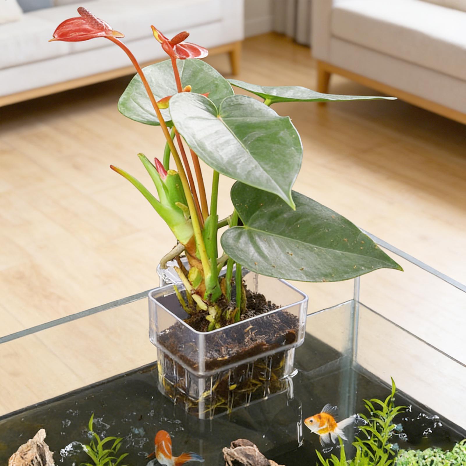 Aquarium Plant Holder - ตะกร้าปลูกต้นไม้ในตู้ปลา กระถางแขวนตกแต่งตู้ปลาแบบใส ที่ใส่ต้นไม้น้ำ ถ้วยปลูกต้นไม้น้ำ กระถางปลูกต้นไม้ในตู้ปลา