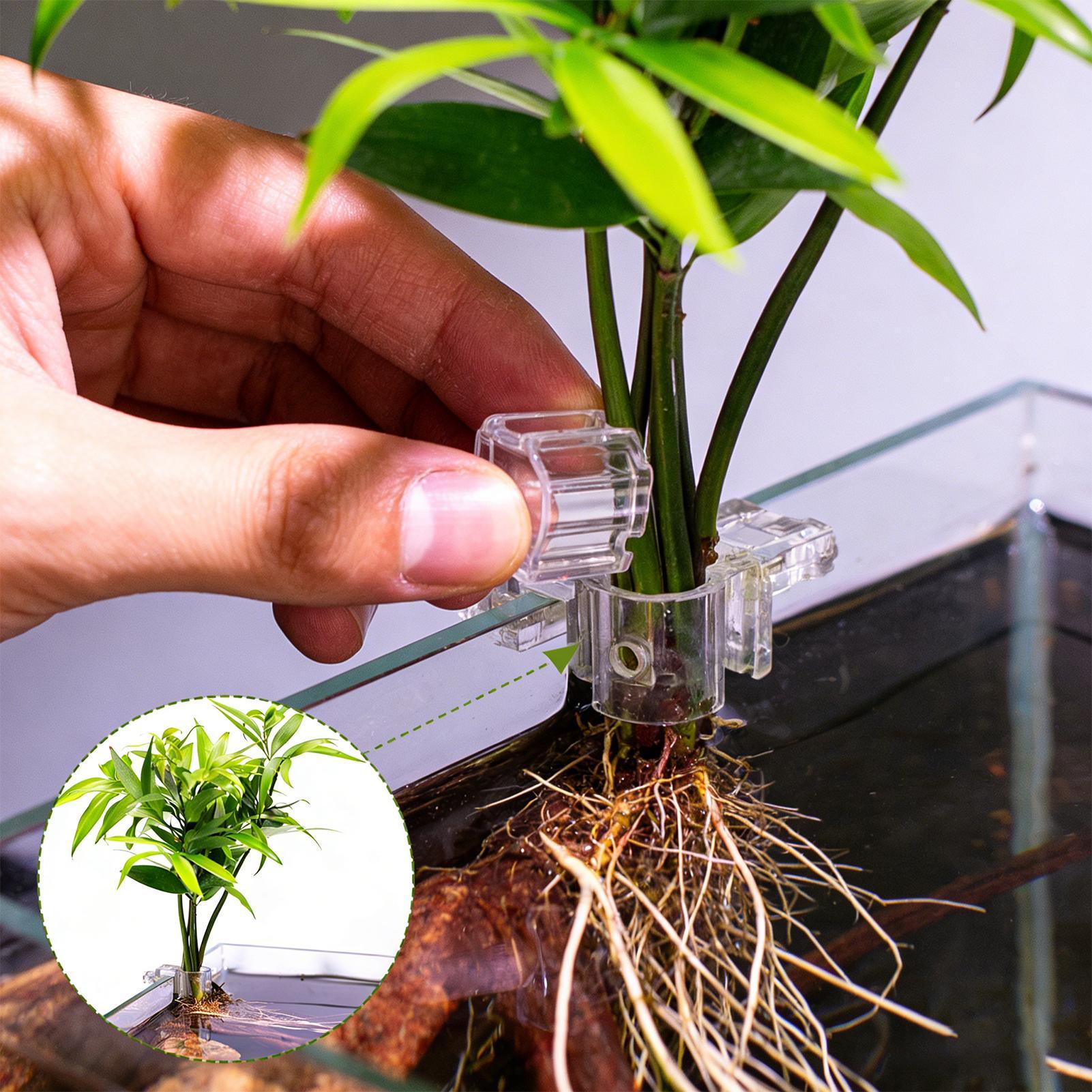 Aquarium Plant Holder - ที่แขวนต้นไม้ในตู้ปลาแบบใส 6 ชิ้น ถ้วยปลูกต้นไม้แบบแขวนสำหรับตู้ปลา สำหรับปลูกพืชในบ้าน