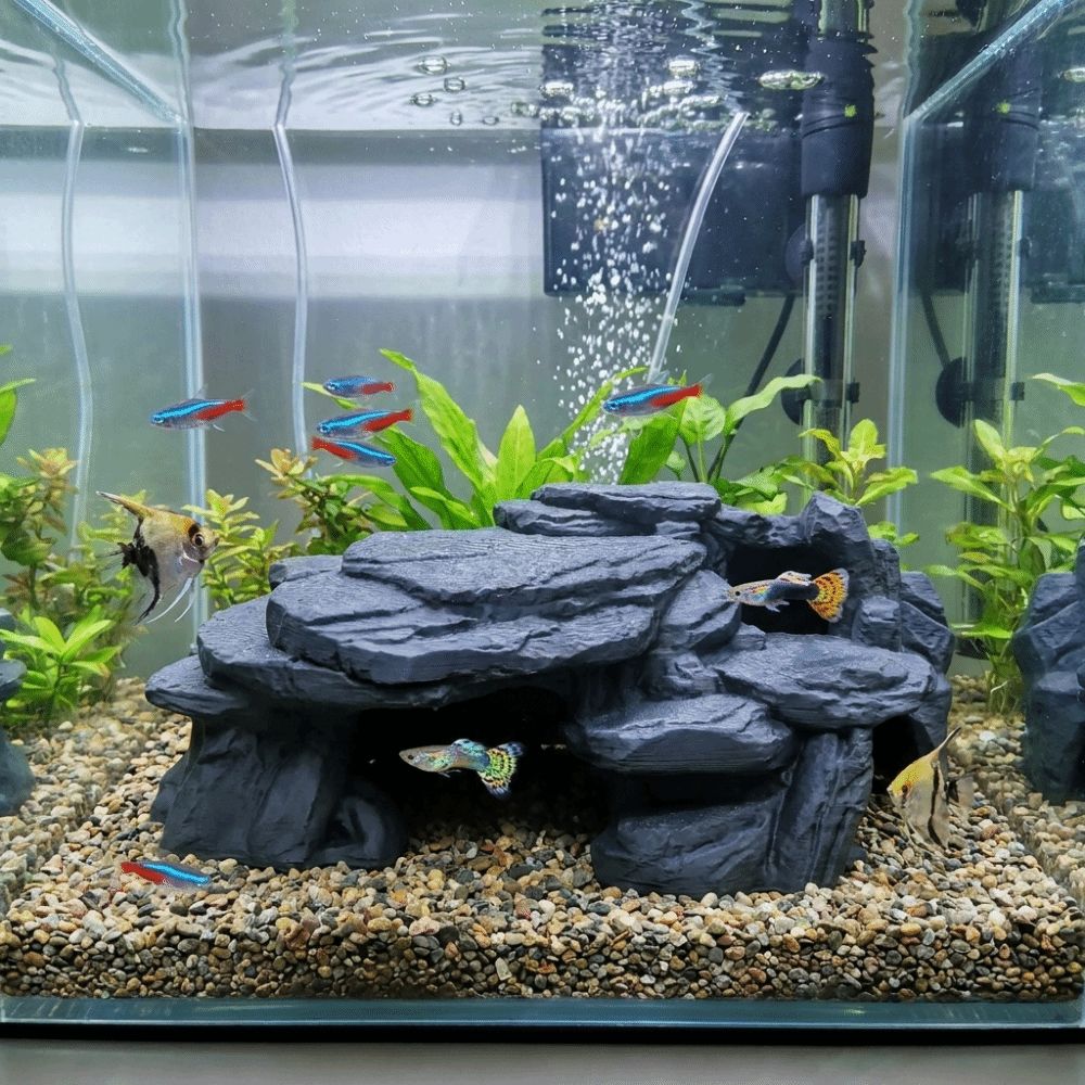 ของตกแต่งตู้ปลาแบบ 3 มิติ รูปท - Aquarium Plants Live บทวิจารณ์และราคา