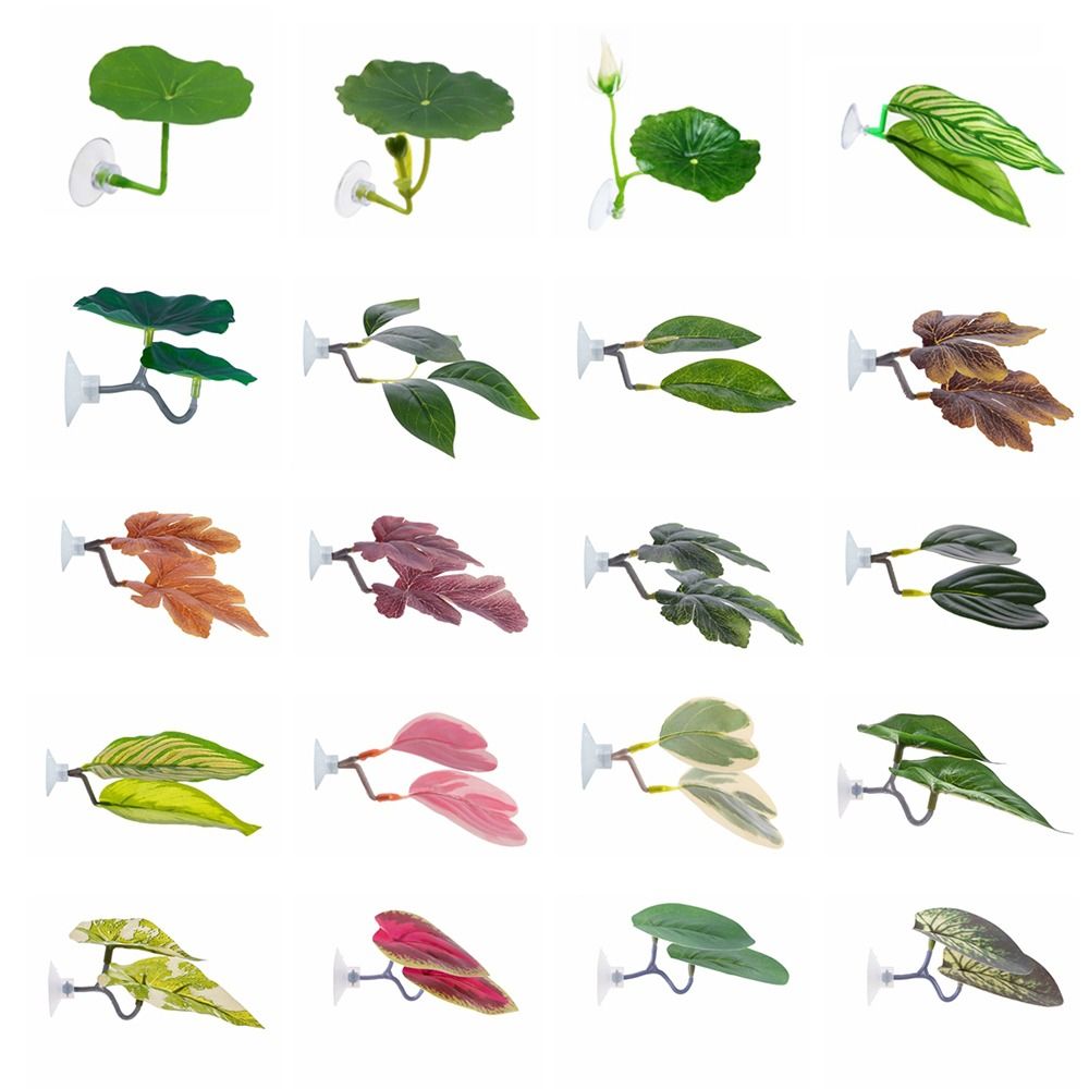 ใบไม้พลาสติกสำหรับปลาเบต้า รูป - Aquarium Plants Live บทวิจารณ์และราคา
