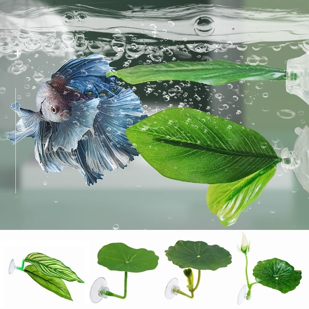 ใบไม้พลาสติกสำหรับปลาเบต้า รูป - Aquarium Plants Live บทวิจารณ์และราคา