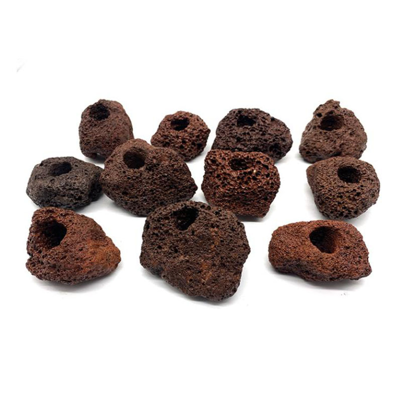 Volcanic Aquarium ตกแต่งปลาถัง - Live Plant Aquarium บทวิจารณ์และราคา