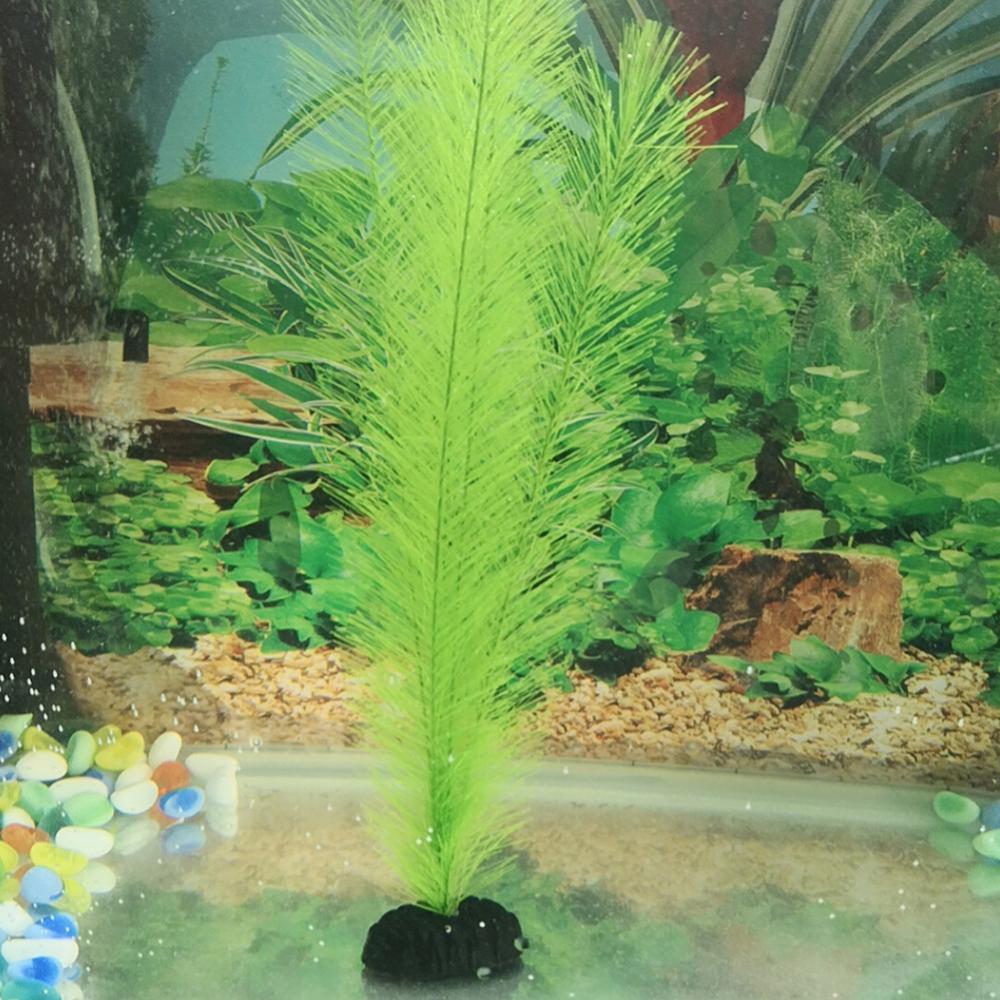 1/3Pcs 28/40 ซม.Aquarium Fish  - Aquarium Plants Live บทวิจารณ์และราคา