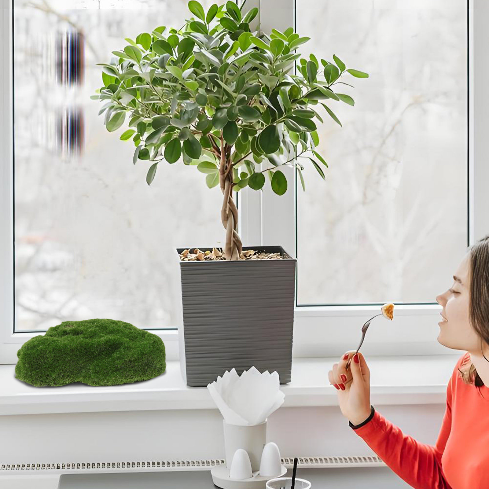 4 ชิ้น หินมอสเทียมตกแต่ง หินปร - Aquarium Moss บทวิจารณ์และราคา