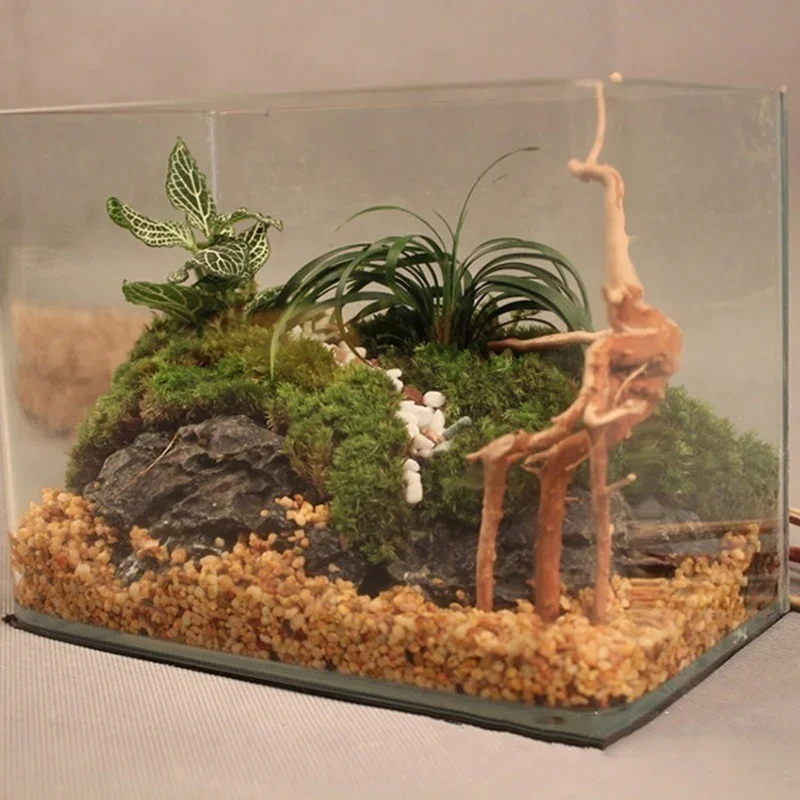 ต้นไม้ธรรมชาติลำต้นไม้ดริฟท์วู - Aquarium Plant Substrate บทวิจารณ์และราคา