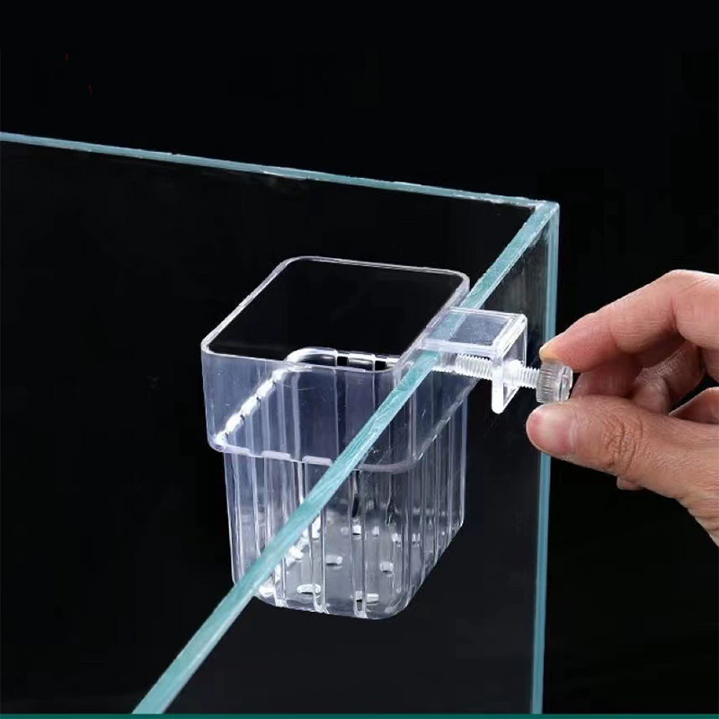 กระถางแขวนใสสำหรับปลูกพืชน้ำใน - Aquarium Plants Live บทวิจารณ์และราคา