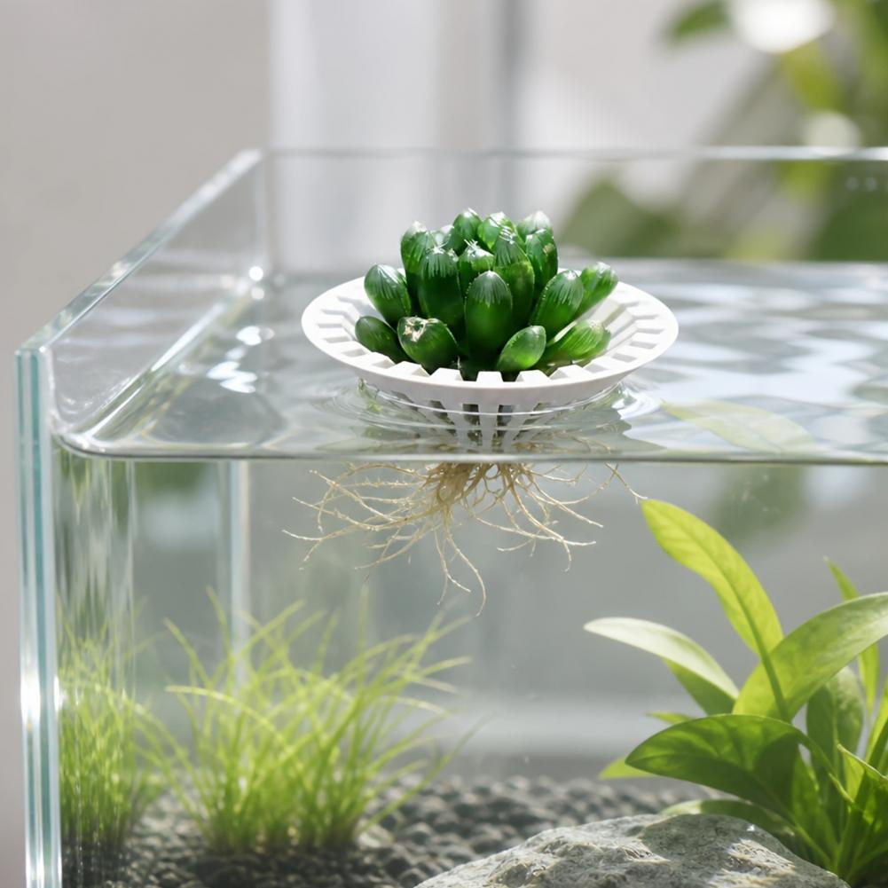 กระถางปลูกพืชน้ำแบบไฮโดรโปนิกส - Aquarium Plant Holder บทวิจารณ์และราคา