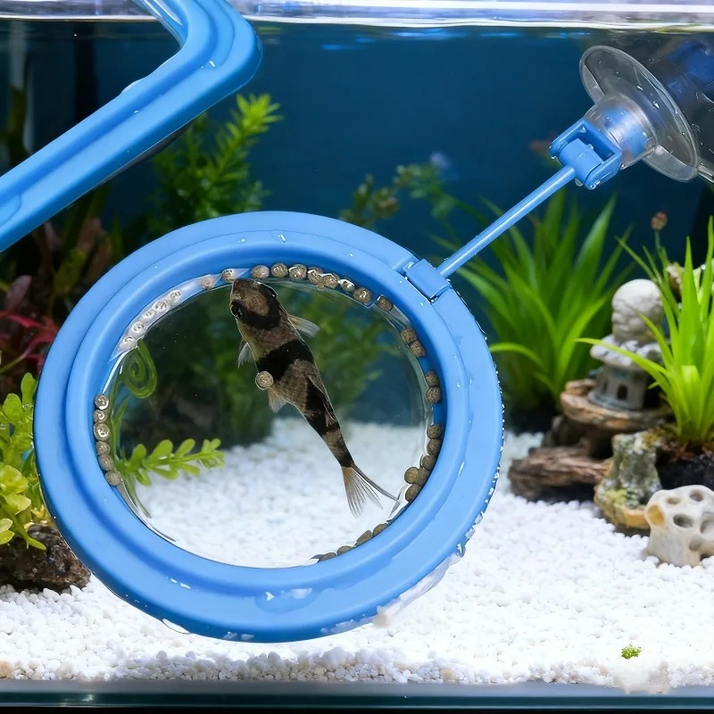 วงแหวนให้อาหารปลาในตู้ปลา ถาดอ - Aquarium Fertilizer บทวิจารณ์และราคา