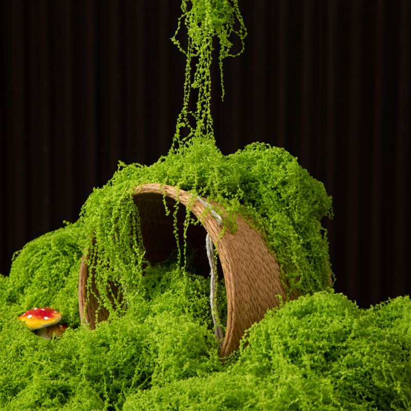 มอสอมตะ 200 กรัม สำหรับงาน DIY - Aquarium Moss บทวิจารณ์และราคา