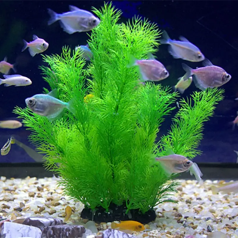 ประดิษฐ์ Aquarium Decor พืชใต้ - Aquarium Plant Substrate บทวิจารณ์และราคา