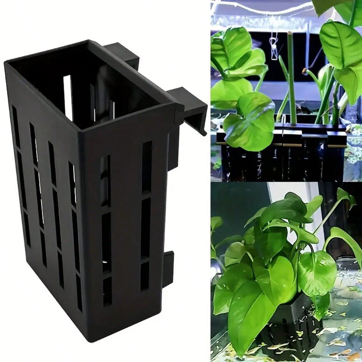 พิพิธภัณฑ์สัตว์น้ําผู้ถือพืชตะ - Aquarium Plant Holder บทวิจารณ์และราคา