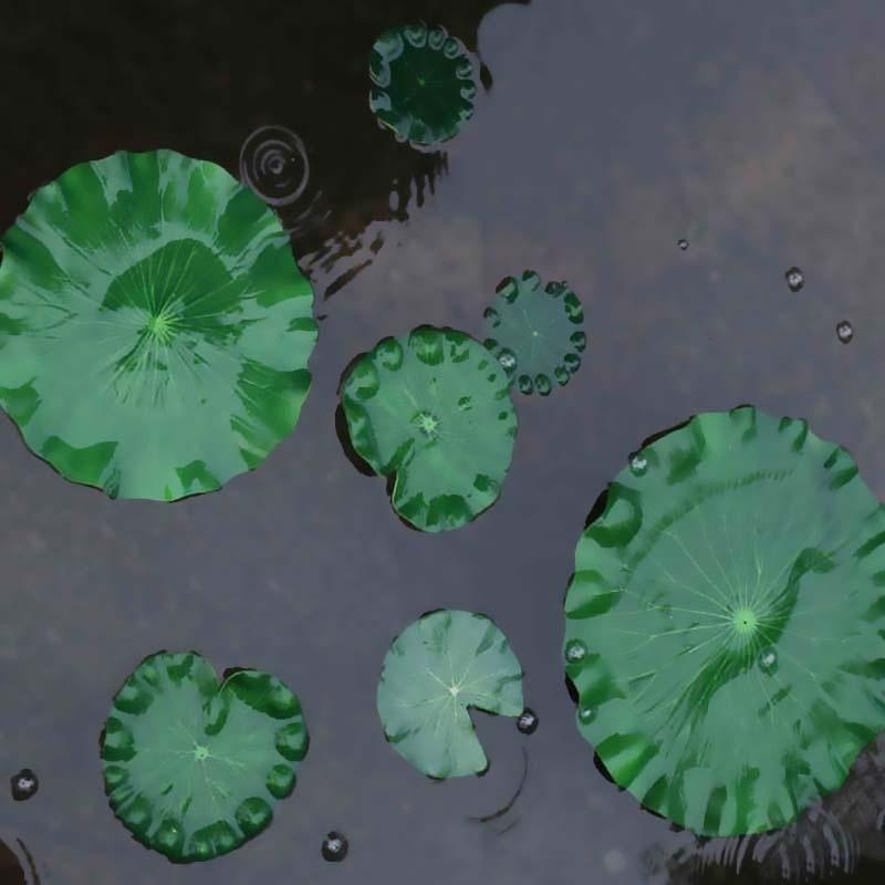 ใบบัวประดิษฐ์ ปี 2026 สำหรับตก - Aquarium Plant Substrate บทวิจารณ์และราคา