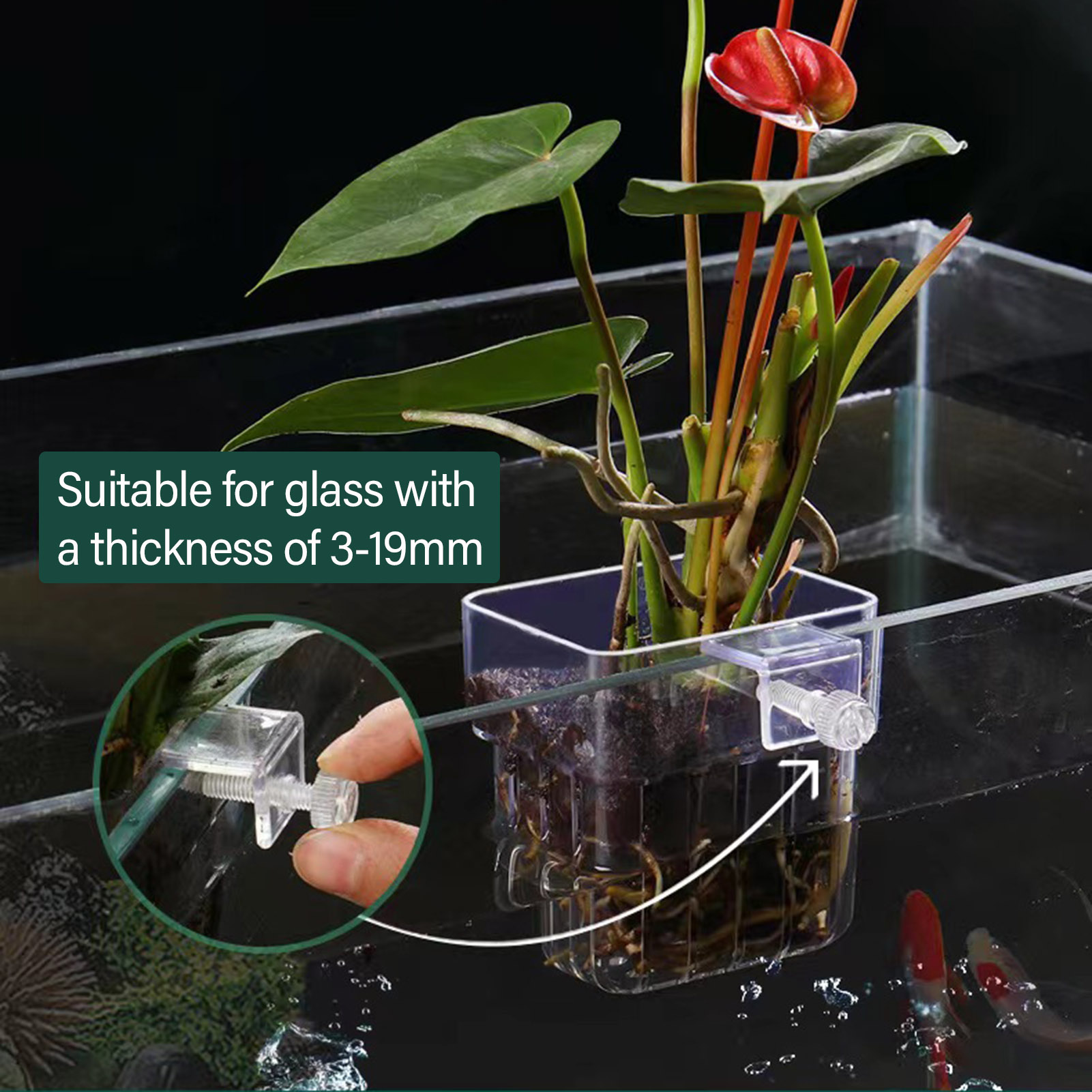 ที่วางต้นไม้อะคริลิกใส ตะกร้าป - Aquarium Plant Holder บทวิจารณ์และราคา