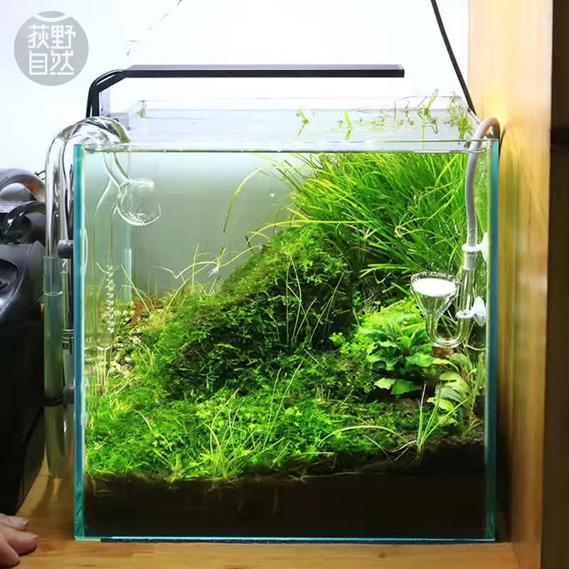 Chihiros C Series ADA สไตล์พืช - Aquarium Plant Light บทวิจารณ์และราคา