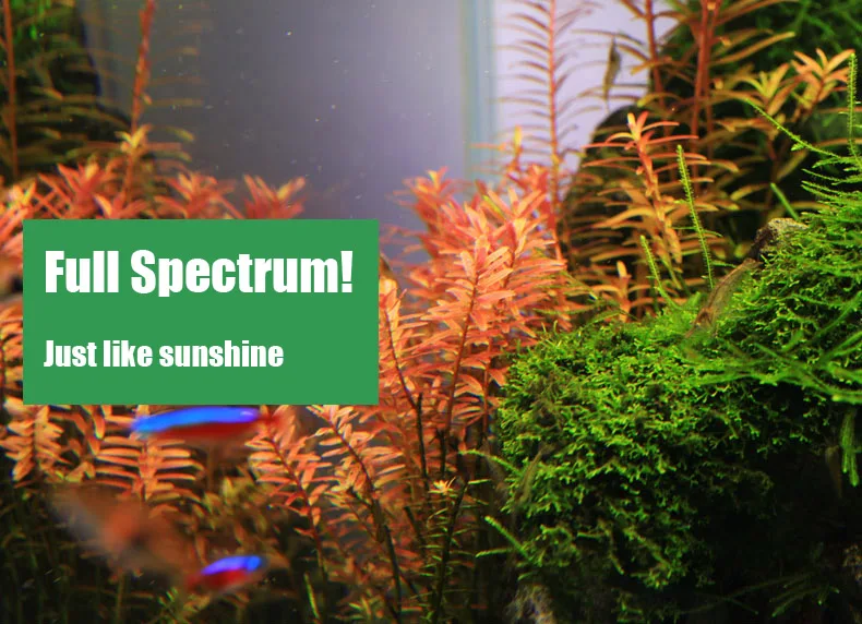 Chihiros C Series ADA สไตล์พืช - Aquarium Plant Light บทวิจารณ์และราคา