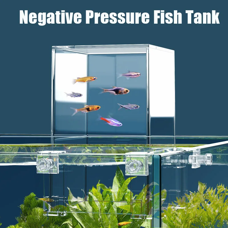 ตู้ปลาขนาดเล็กสำหรับตกแต่งตู้ป - Plant Aquarium Pot บทวิจารณ์และราคา