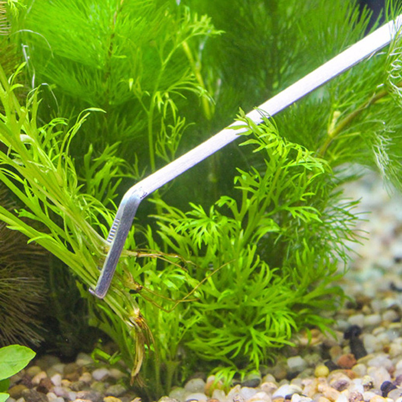 ชุดเครื่องมือดูแลตู้ปลาแบบมืออ - Aquarium Plants Live บทวิจารณ์และราคา