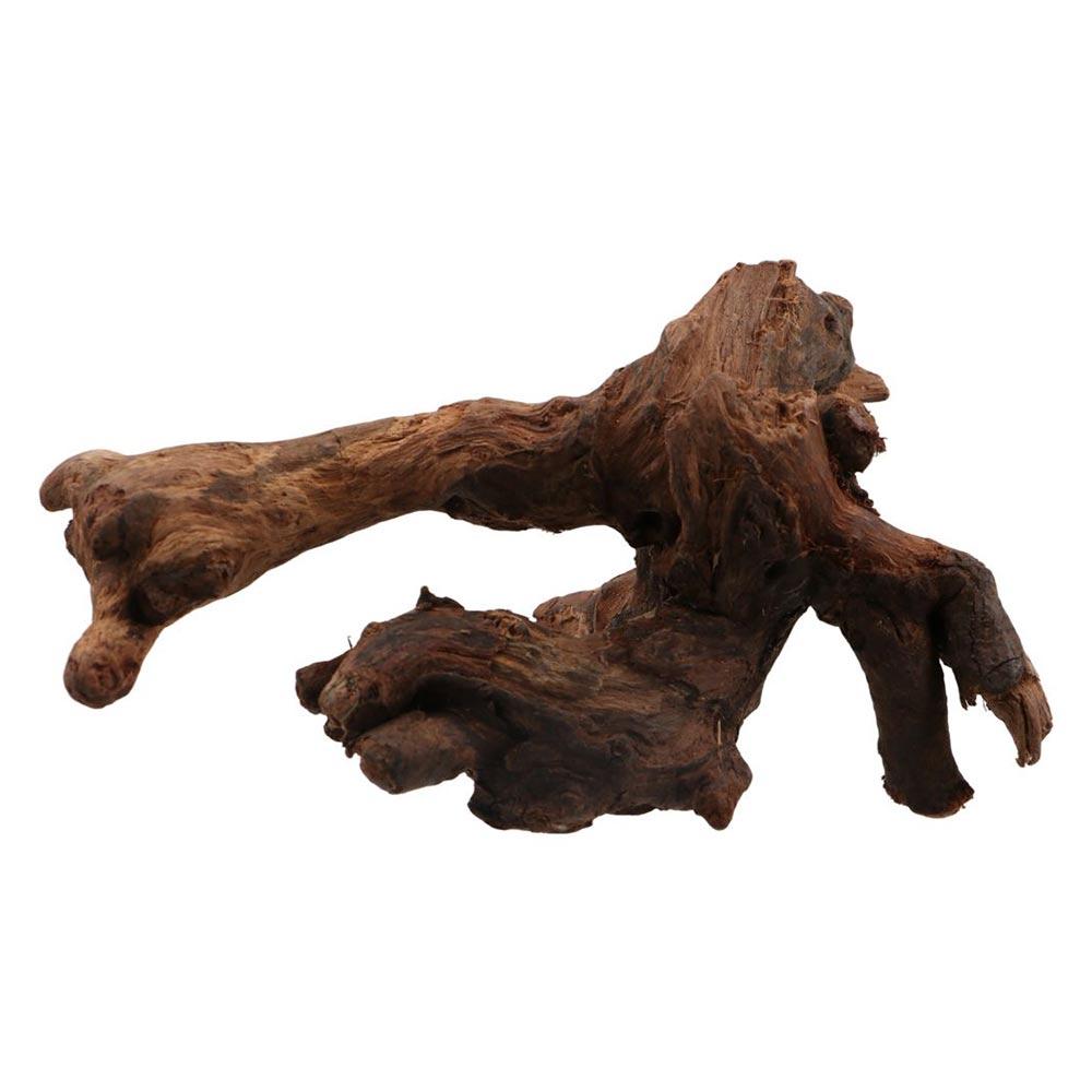 ไม้ปะการังรูปทรงแปลกตา ไม้ธรรม - Aquarium Plant Substrate บทวิจารณ์และราคา