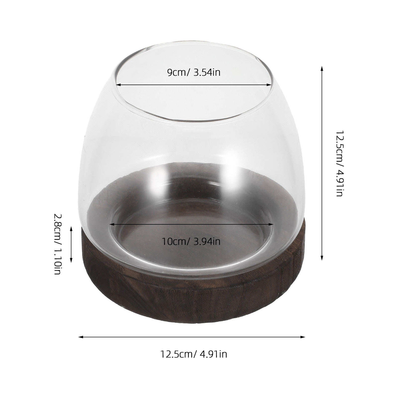 กระถางต้นไม้ไฮโดรโปนิกส์ทรงกลม - Aquarium Plant Holder บทวิจารณ์และราคา