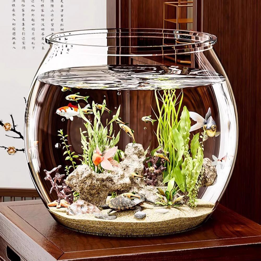 พลาสติกใสรอบชามปลา Aquarium ห้ - Plant Aquarium Pot บทวิจารณ์และราคา