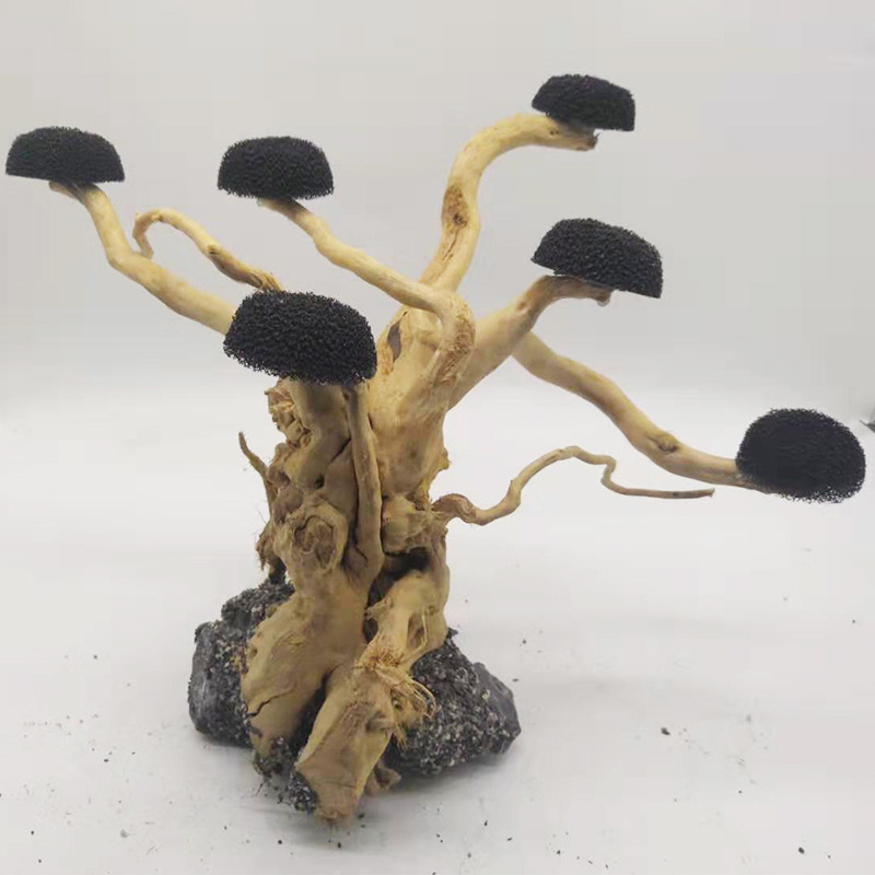 พิพิธภัณฑ์สัตว์น้ํา Driftwood  - Aquarium Plant Substrate บทวิจารณ์และราคา