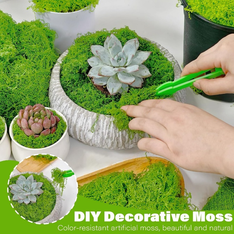ต้นไม้ประดิษฐ์สีเขียว มอสอมตะ  - Aquarium Moss บทวิจารณ์และราคา