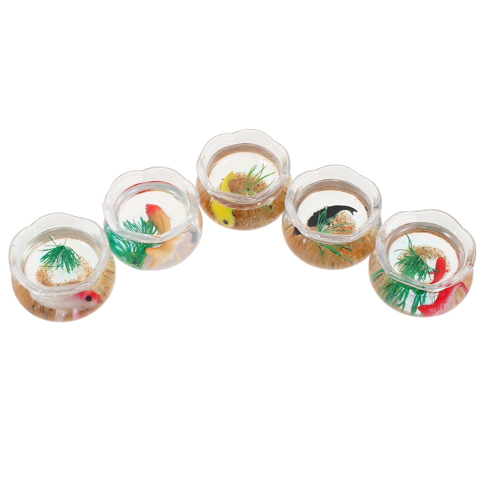 5 ชิ้น ตู้ปลาจิ๋ว ตู้ปลาคาร์ปจ - Planted Tank บทวิจารณ์และราคา