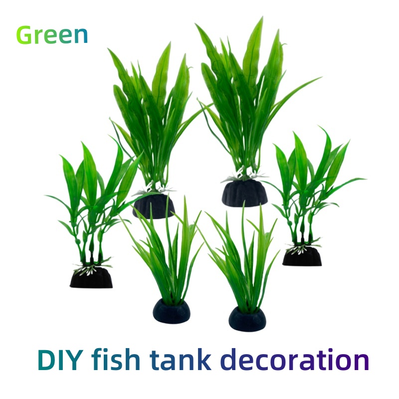 6 ชิ้นแพ็คพืชพิพิธภัณฑ์สัตว์น้ - Aquarium Plants Live บทวิจารณ์และราคา
