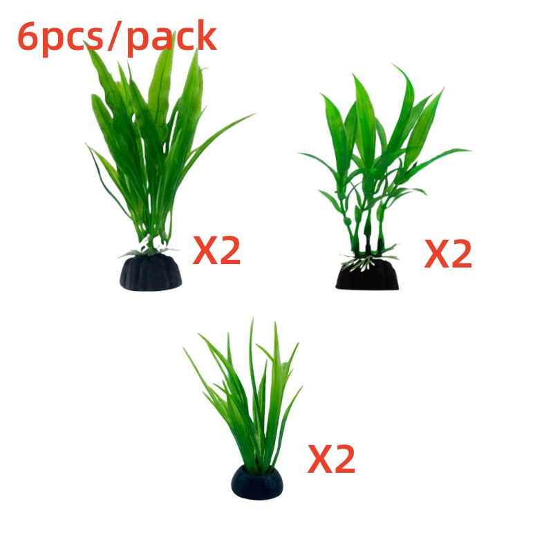 6 ชิ้นแพ็คพืชพิพิธภัณฑ์สัตว์น้ - Aquarium Plants Live บทวิจารณ์และราคา